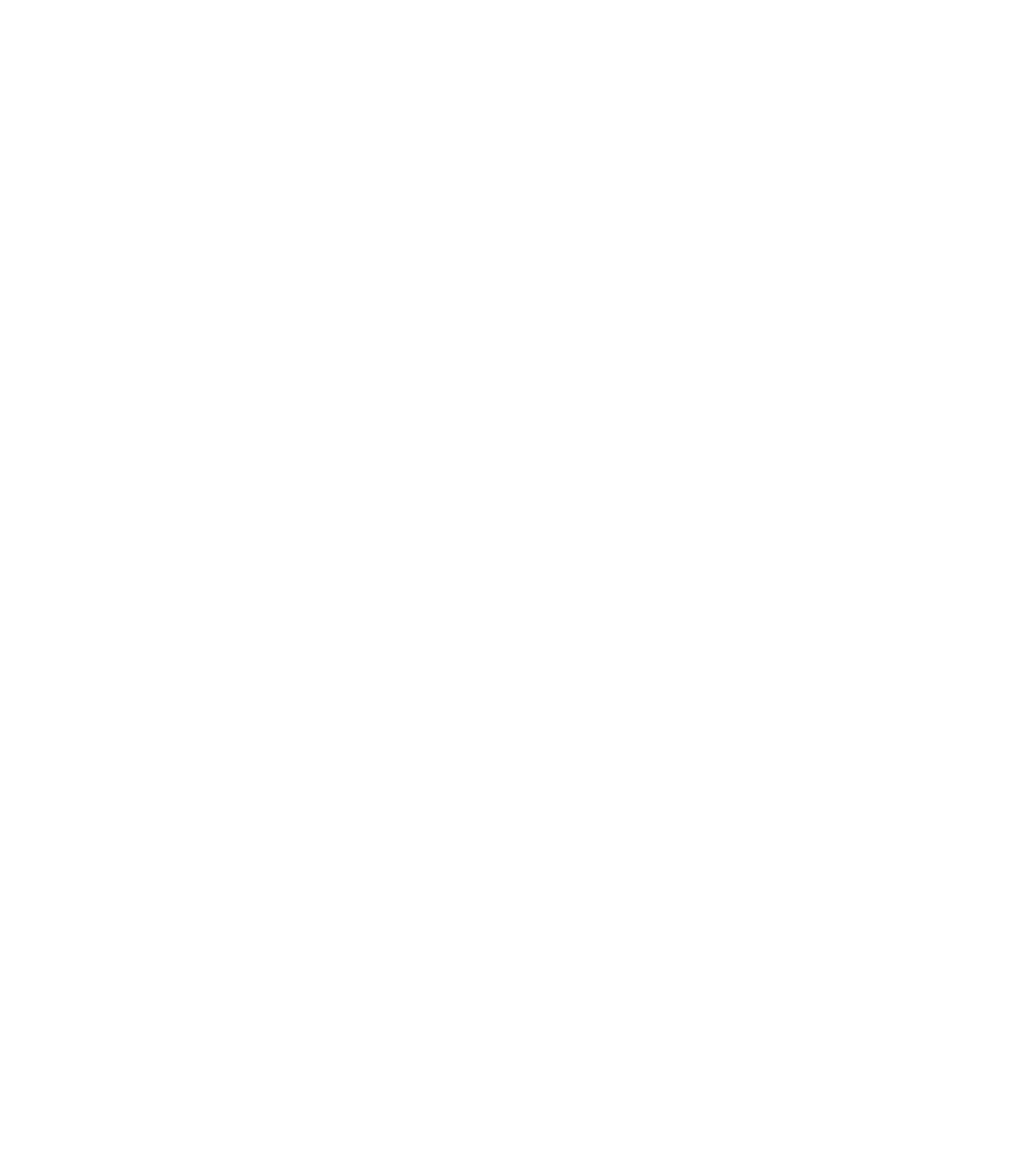 Forte Fencing Foundation